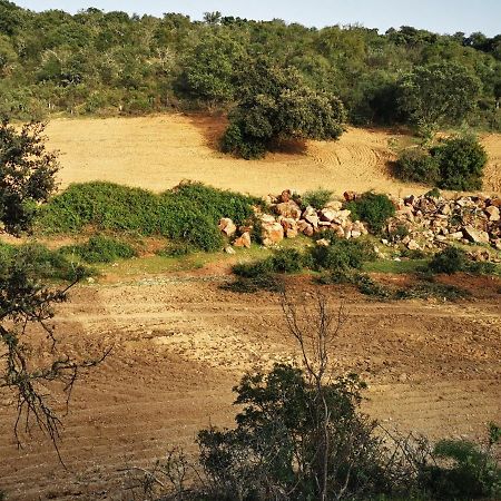 Vila La Fuensanta Hornachuelos Exteriér fotografie