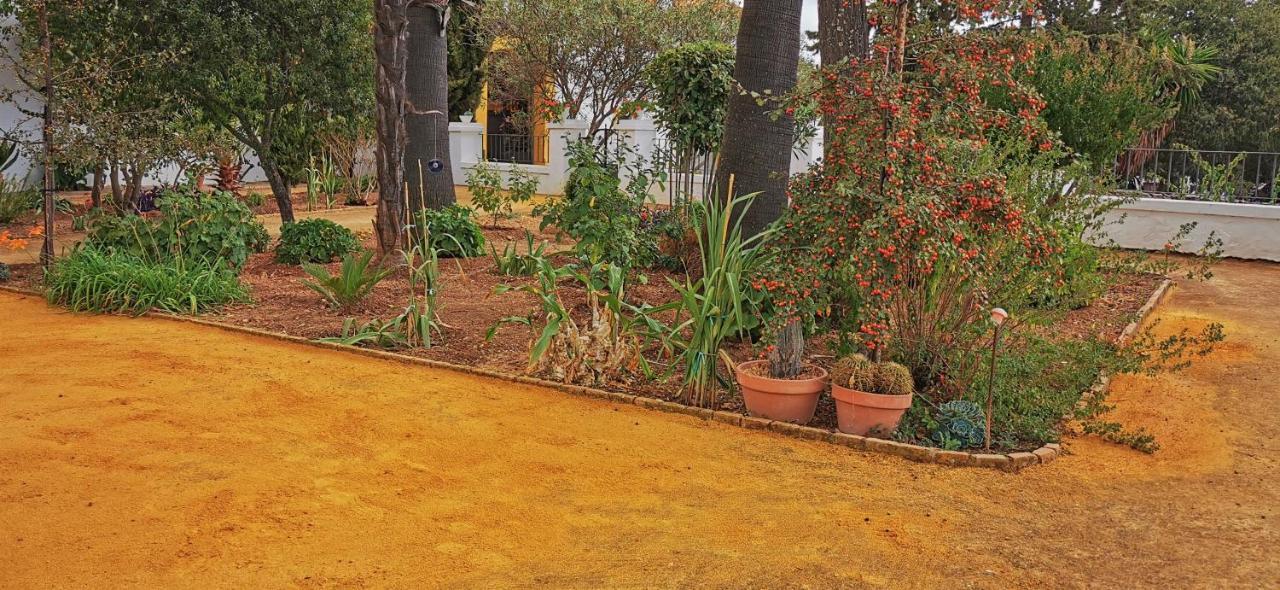 Vila La Fuensanta Hornachuelos Exteriér fotografie
