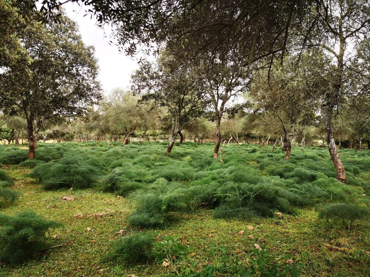 Vila La Fuensanta Hornachuelos Exteriér fotografie