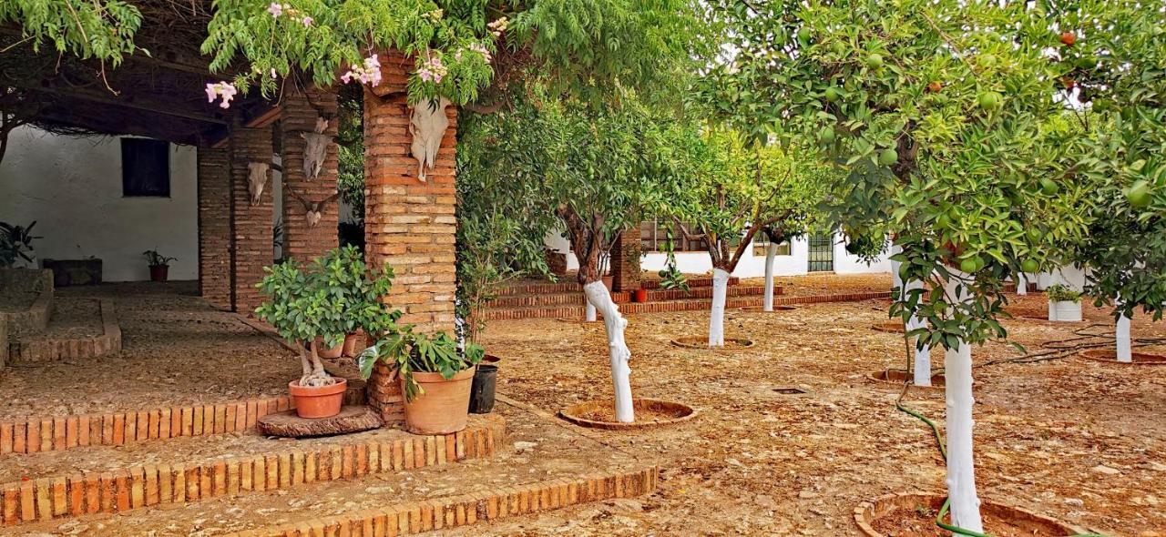 Vila La Fuensanta Hornachuelos Exteriér fotografie