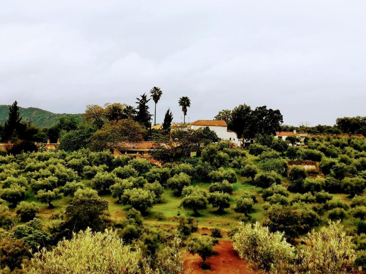 Vila La Fuensanta Hornachuelos Exteriér fotografie
